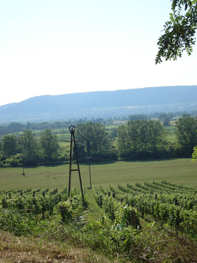 dsc01341