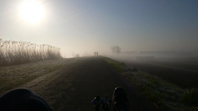 14. Fietsers in de nevel.