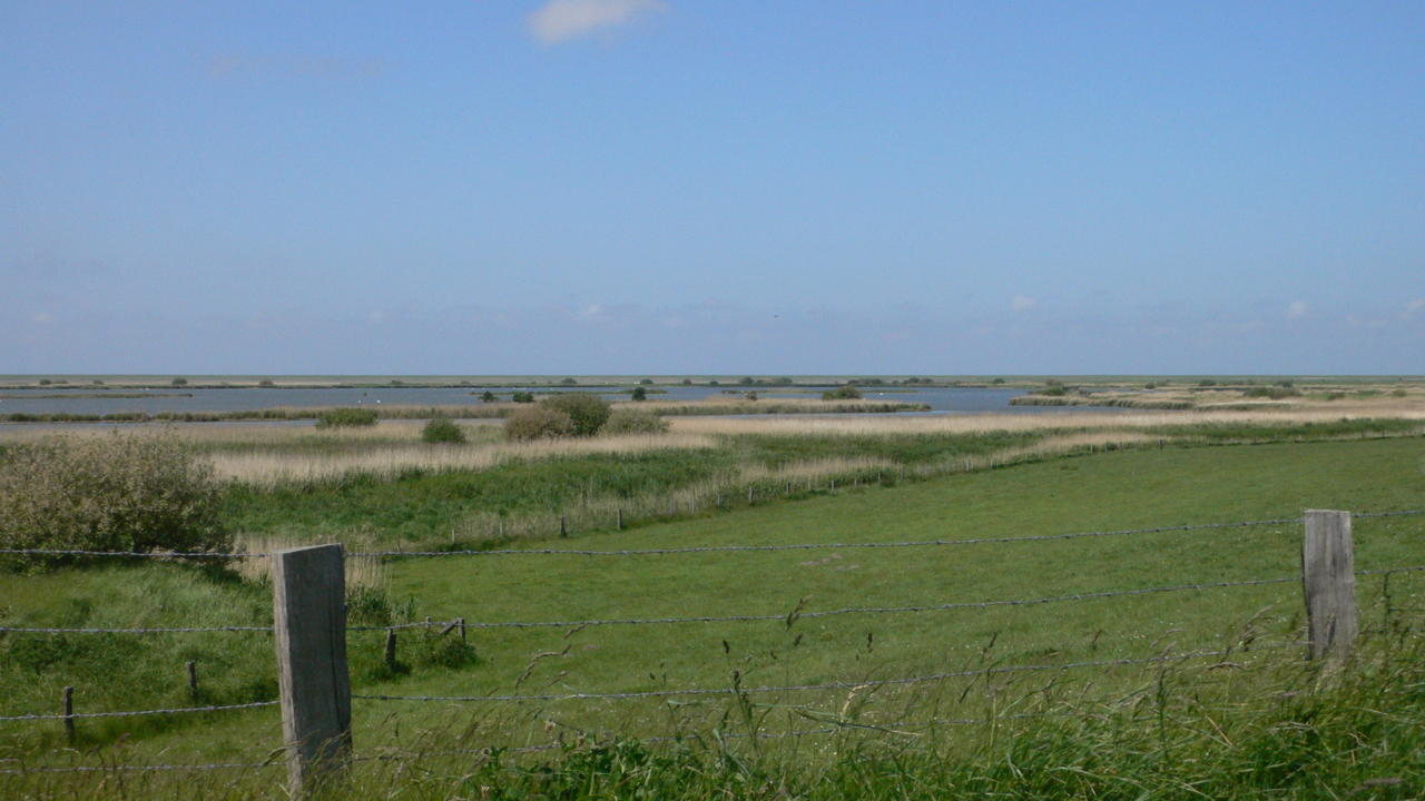 l1120862-1.jpg