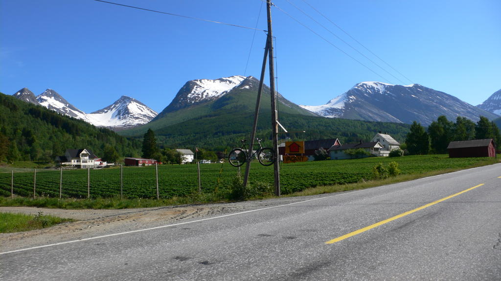 l1130441.jpg