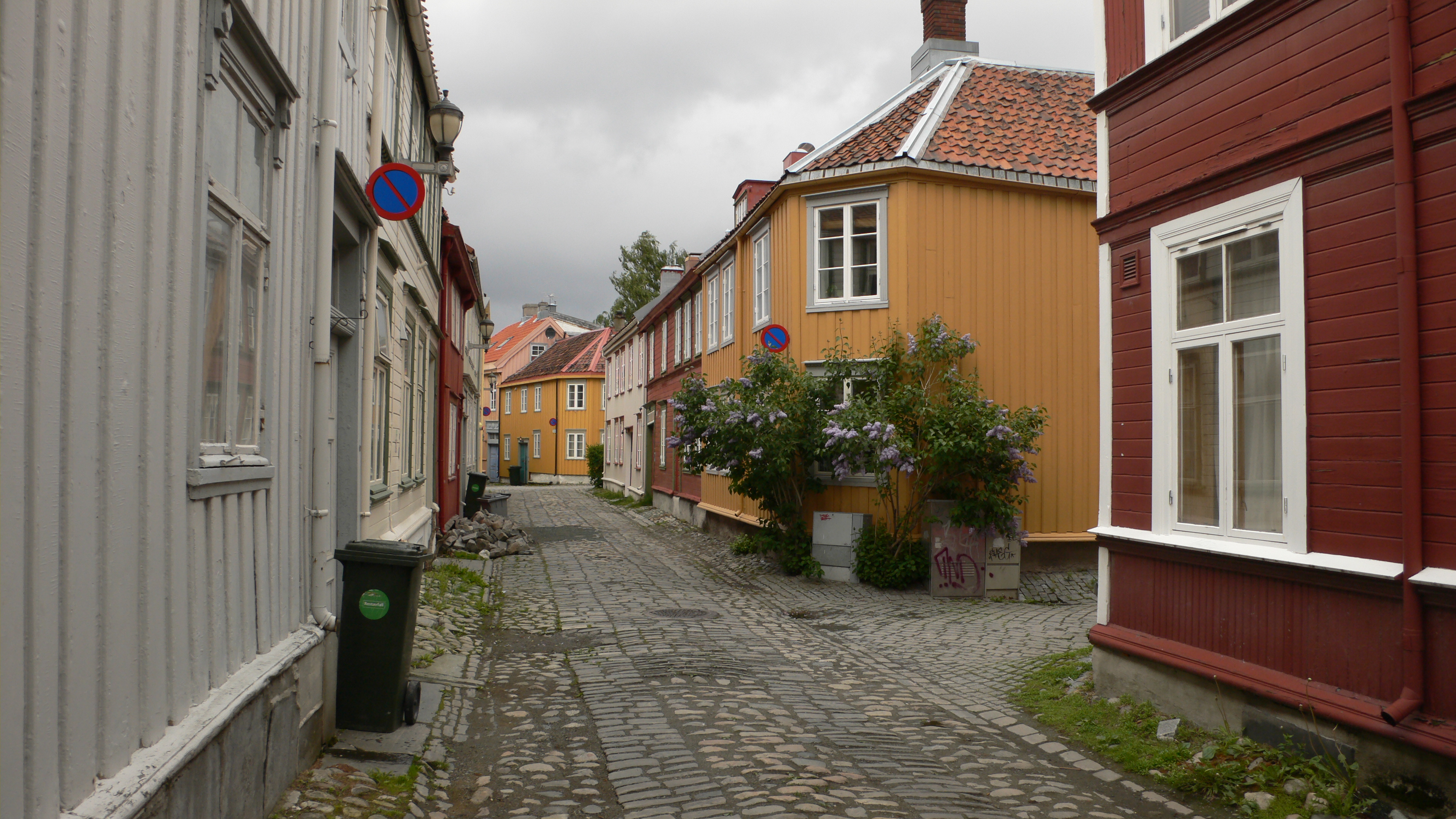 l1130535.jpg