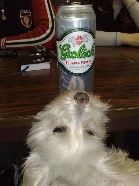02042010889.jpg