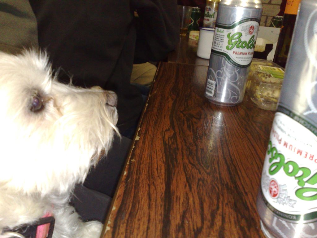 02042010890.jpg