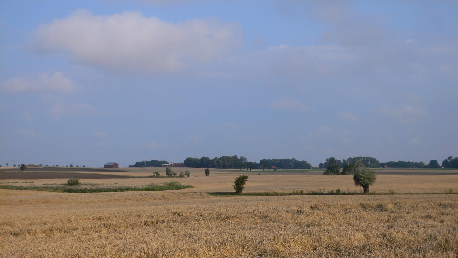 L1150021.JPG
