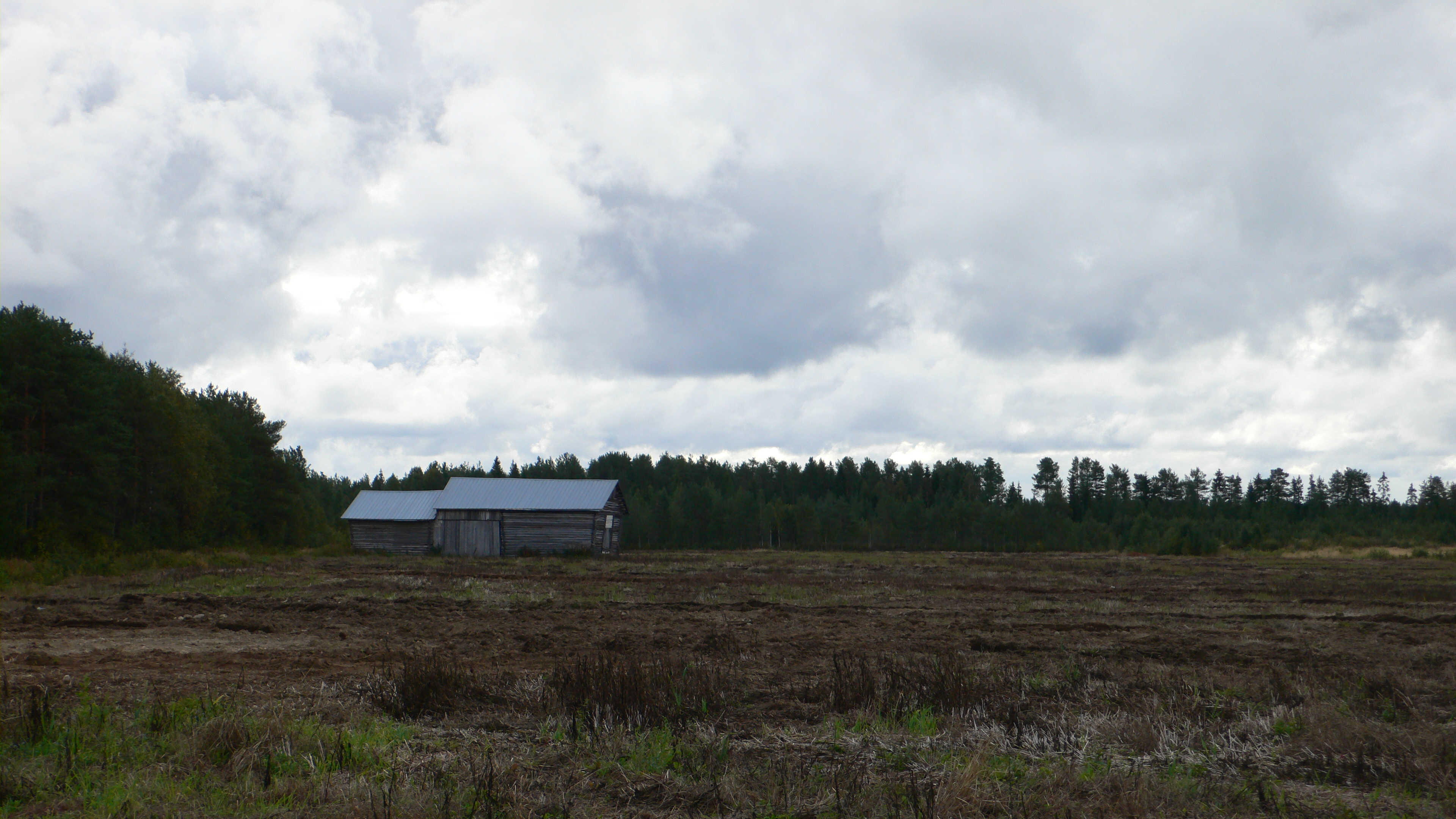 L1150313.JPG