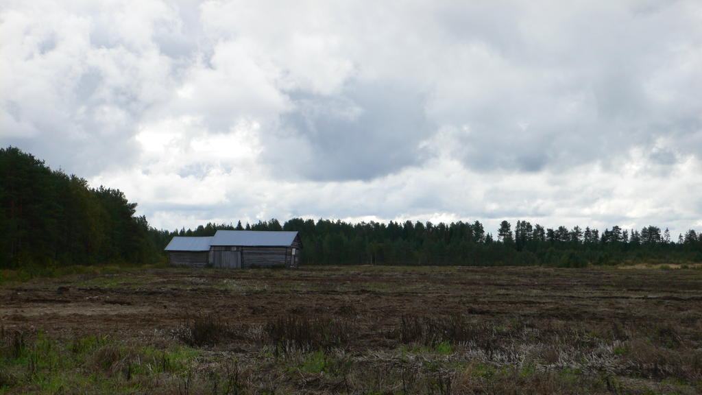 L1150313.JPG