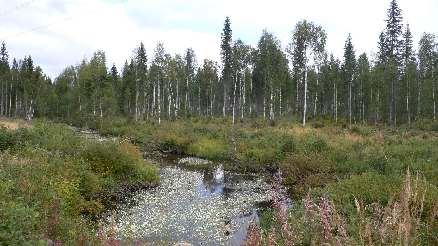 L1150316.JPG