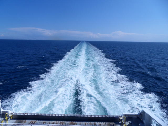 SDC11713