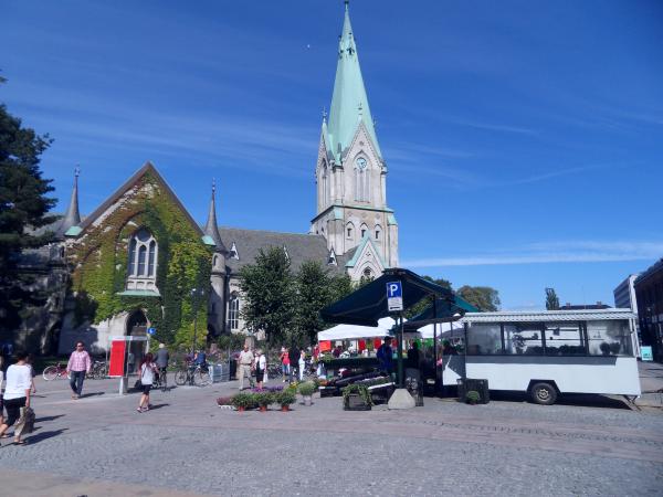 SDC11741