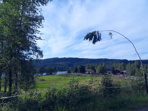 SDC11750