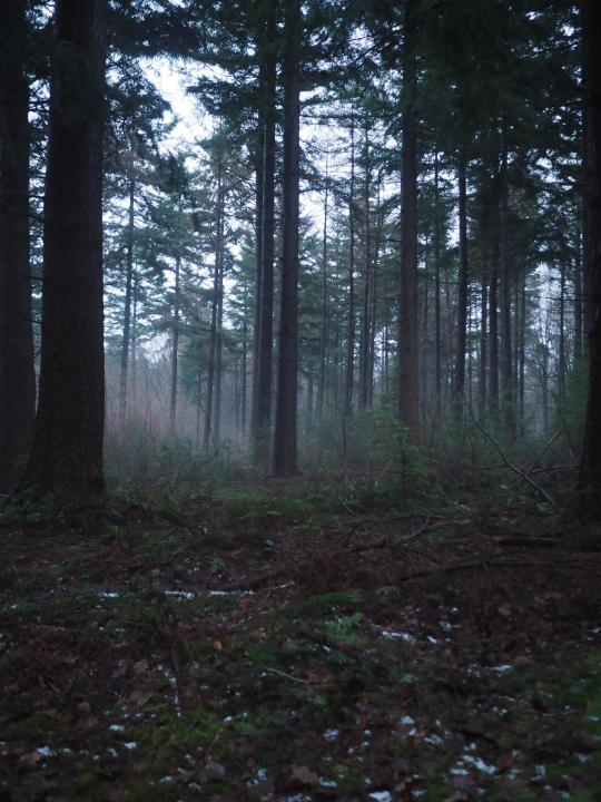 P1082130